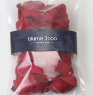 Rosenblätter rot von blume 3000