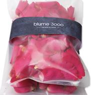 Rosenblätter pink von blume 3000