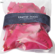 Rosenblätter pink von blume 3000