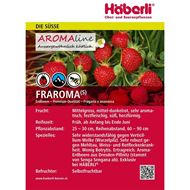 Image sur Plante de fraises FRAROMA 3 barquettes à 4