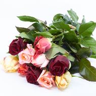 Image sur  Rose champ 'couleurs différentes' 45cm 10 pièces