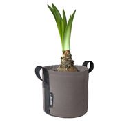 BACSAC Pot 3 Liter taupe mit Pflanze