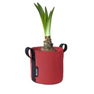 BACSAC Pot 3 Liter cerise mit Pflanze