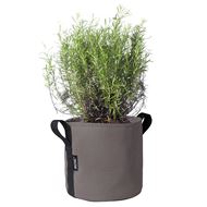 BACSAC Pot 10 Liter taupe mit Pflanze