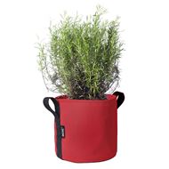 BACSAC Pot 10 Liter cerise mit Pflanze