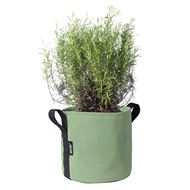BACSAC Pot 10 Liter olive mit Pflanze