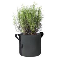 BACSAC Pot 10 Liter asphalt mit Pflanze