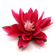 Bild von zzz**gelöscht** Seerose mit 5 Blätter Pink / Ø 16cm