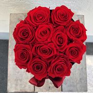 Bild von Eine Rosenbox - rund, in Schwarz, mit 11 roten, echten, stabilisierten Rosen Ø ca. 18 cm