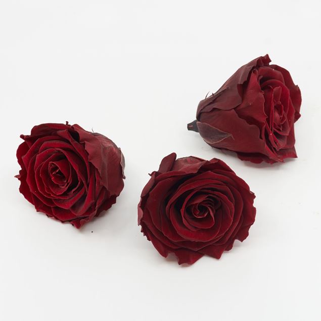 Image de Rose lyophilisée  'bordeaux' Ø6cm h5cm 3 pièces