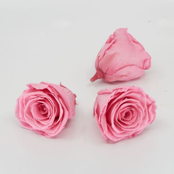 Image sur Rose lyophilisée 'rose' Ø6cm h5cm 3 pièces