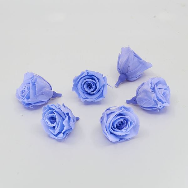 Image sur Rose lyophilisée mini 'bleu' Ø4cm h3.5cm 6 pièces