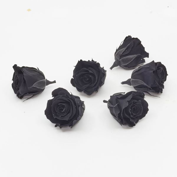 Bild von Gefriergetrocknete Rose mini 'schwarz' Ø4cm h3.5cm 6er Set