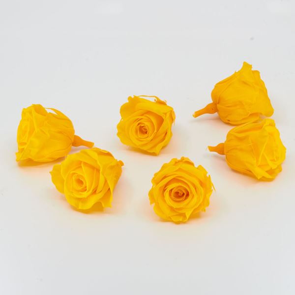 Image sur Rose lyophilisée mini 'jaune' Ø4cm h3.5cm 6 pièces