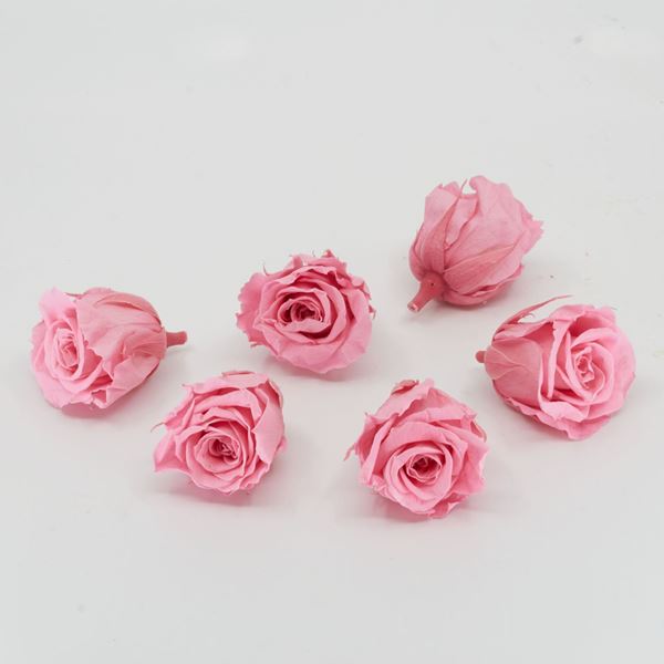 Image sur Rose lyophilisée mini 'rose' Ø4cm h3.5cm 6 pièces