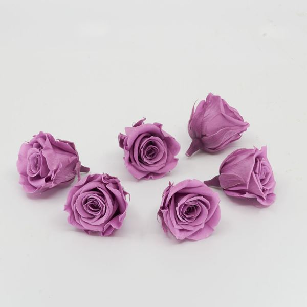 Image sur Rose lyophilisée mini 'violet' Ø4cm h3.5cm 6 pièces