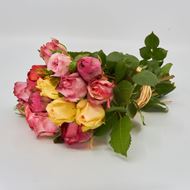 Image sur Rose champ 'couleurs différentes' 25cm 10 pièces