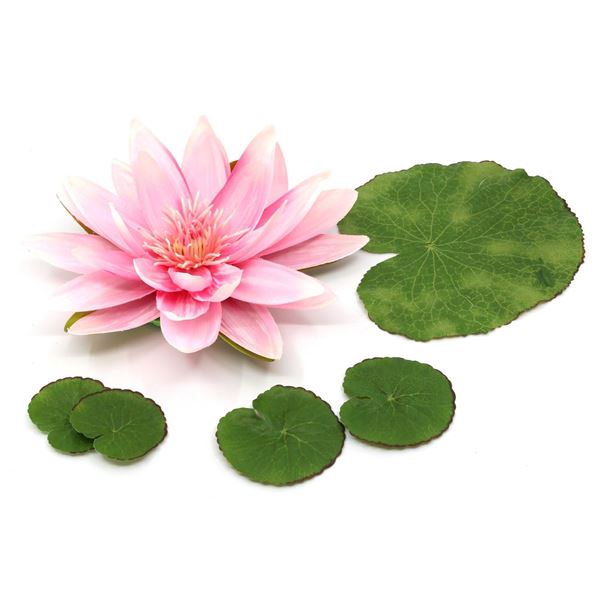 Image sur Nénuphar avec 5 feuilles rose / Ø 16cm