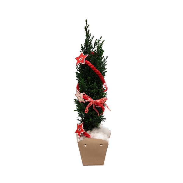 Bild von Weihnachtsbaum 11cm Ø  dekoriert