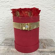 Bild von Festliche Rosenbox - rund, in rot, mit 6 roten, echten, stabilisierten Rosen  Ø ca. 15 cm