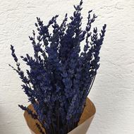 Trockenblumen Strauss Lavendel Bund blau