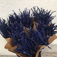 Trockenblumen Strauss Lavende blau  (mehrere Bunde als Muster)