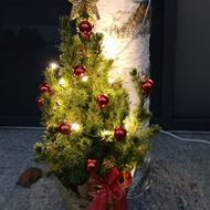 Kleiner Weihnachtsbaum