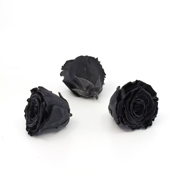 Image sur Rose lyophilisée 'noire' Ø6cm h5cm 3 pièces