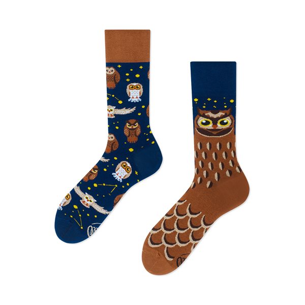 Owly Moly Socks