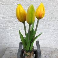 Tulpentuff gelb in kleiner Holzbox mit 2 Herzen