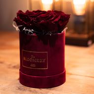 Rosenbox in Bordeauxrot Samt, mit 4  stabilisierten Rosen Burgundy, Ø 10 cm