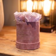 Rosenbox in Rosa Samt, mit 4  stabilisierten Rosen Pink Bourgogne, Ø 10 cm