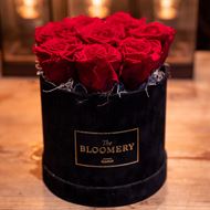 Rosenbox in Schwarz Samt, mit 8 stabilisierten Rosen Red, Ø 15 cm