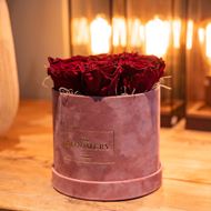Rosenbox in Rosa Samt, mit 8 stabilisierten Rosen Burgundy, Ø 15 cm