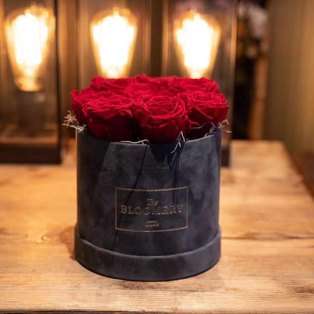 Rosenbox in Grau Samt, mit 8 stabilisierten Rosen Red, Ø 15 cm