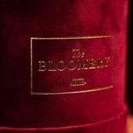 Rosenbox in Bordeauxrot Samt, mit 8 stabilisierten Rosen Pink Champagne Ø 15 cm