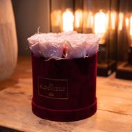 Rosenbox in Bordeauxrot Samt, mit 8 stabilisierten Rosen Pink Champagne Ø 15 cm