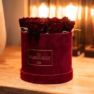 Rosenbox in Bordeauxrot Samt, mit 8 stabilisierten Rosen Burgundy Ø 15 cm
