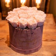 Rosenbox in Rosa Samt, mit 15 stabilisierten Rosen Almond Cream Ø 20 cm