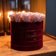Rosenbox in Bordeauxrot Samt, mit 15 stabilisierten Pink Champagne Ø 20 cm