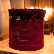 Rosenbox in Bordeauxrot Samt, mit 15 stabilisierten Rosen Burgundy Ø 20 cm