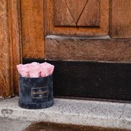 Rosenbox in Grau Samt, mit 8 stabilisierten Rosen Baby Pink, Ø 15 cm