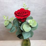 Edle rote stabilisierte Rose 35 cm mit Eukalyptus und Vase