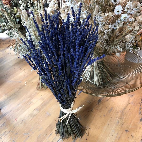 FleuropHOME. Bouquet de fleurs lavande sèche bleu Ø ca.10 cm H ca.35 cm