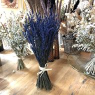 Trockenblumen Strauss Lavendel Bund blau