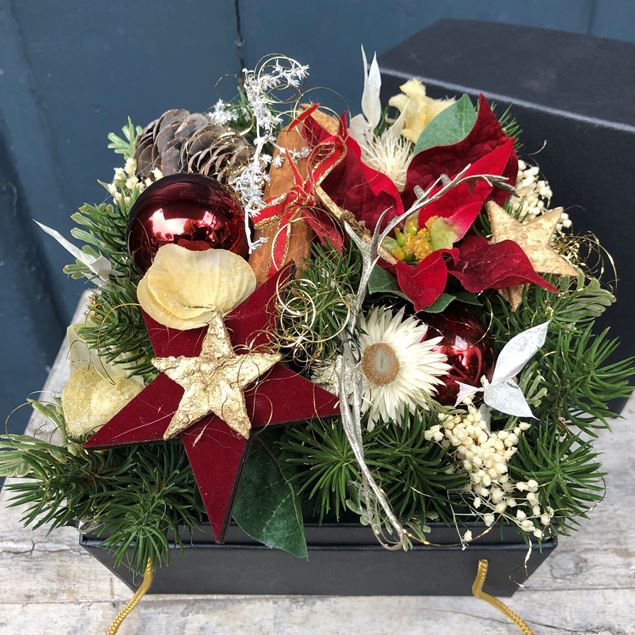 Blumenbox Christmas Star rot mit goldener Kordel