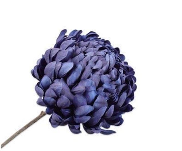 Chrysantheme dunkelblau 64cm
