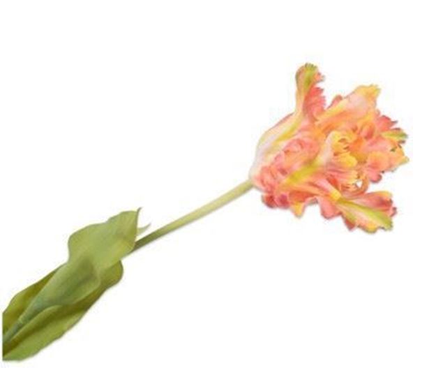 Tulpe rosa 70cm