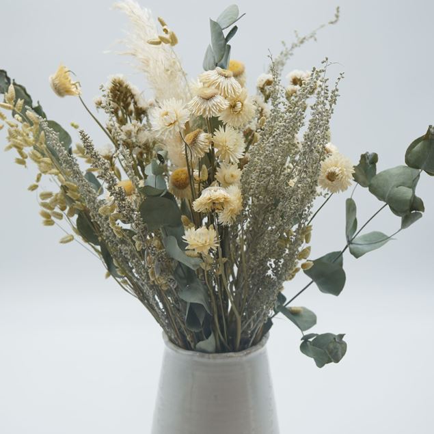 Image de Bouquet de fleurs séchées bio Paola