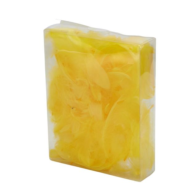 Image de Plumes "teintes" en boîte jaune